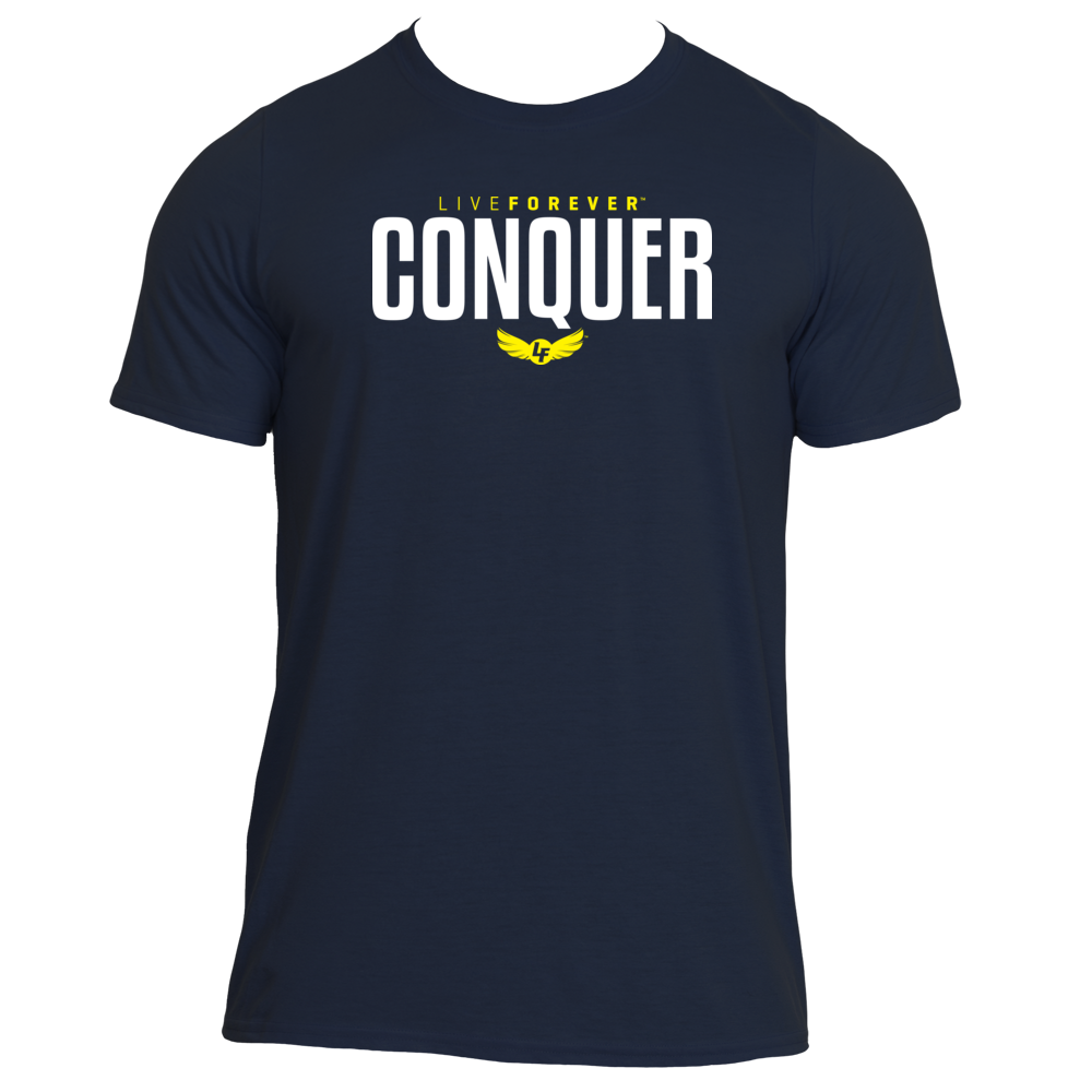 conquer_v1